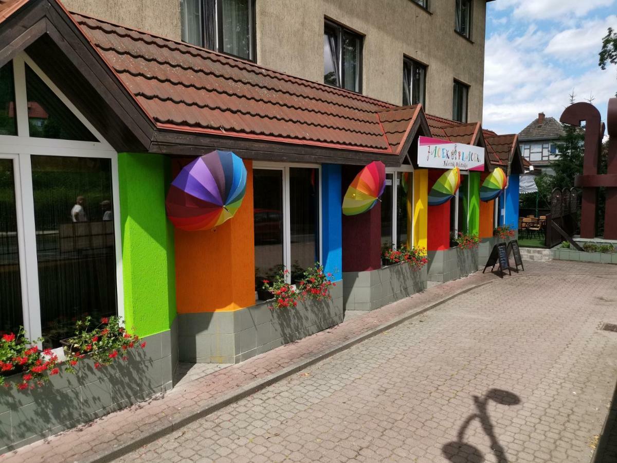 Willa Wolnosc Polanica-Zdrój Exteriér fotografie